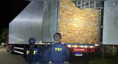 Imagem ilustrativa da notícia: Operação da PRF apreende drogas e madeira ilegal no sudeste do Pará