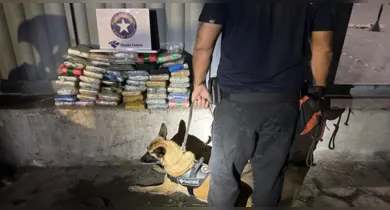 Imagem ilustrativa da notícia: Polícia encontra 55 quilos de skunk em transportadora de Ananindeua