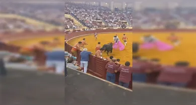 Imagem ilustrativa da notícia: Vídeo: toureiro morre após ataque de touro e espectador sofre infarto