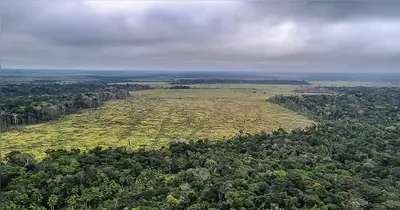 Segundo pesquisadores, os principais fatores de transformação da Amazônia nos últimos 40 anos são a expansão da pecuária, o crescimento da agricultura e o avanço da mineração.