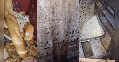 As condições do estabelecimento foram consideradas gravíssimas pela vigilância sanitária