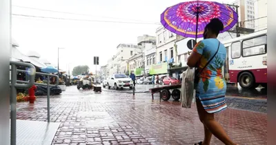 Chuvas favorecem proliferação do mosquito