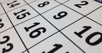 Fé, tradição e folga: municípios de Norte a Sul param para homenagear Nossa Senhora da Conceição.