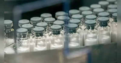 Imagem ilustrativa da notícia Vacina contra a dengue do Butantan será aplicada em janeiro