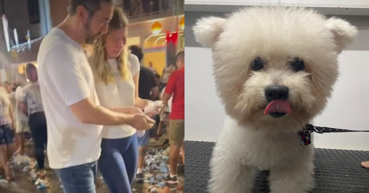 Imagem ilustrativa da notícia Família joga no Círio as cinzas de cachorro que acompanhava as romarias