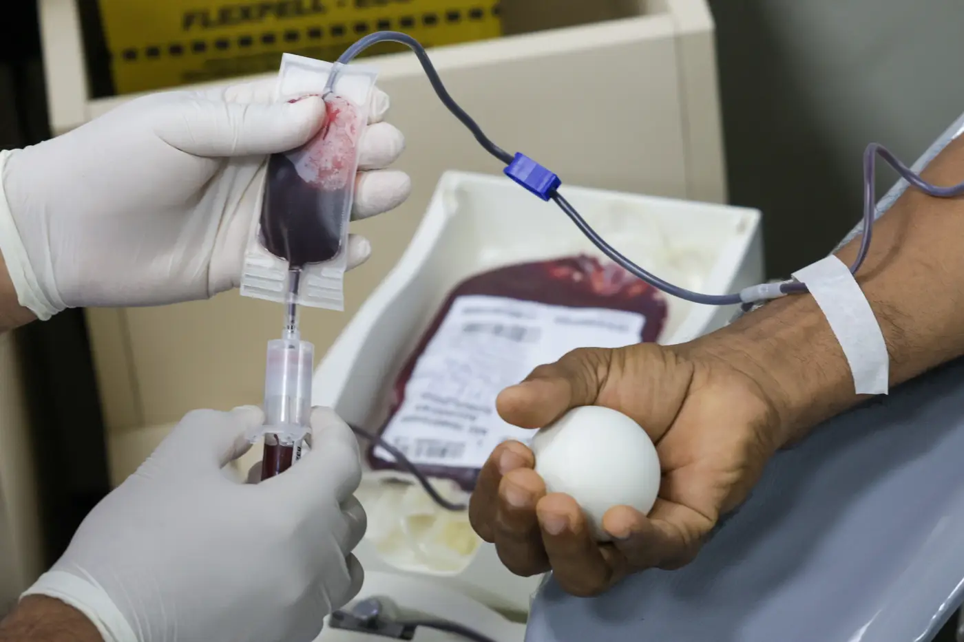 Imagem ilustrativa da notícia: Hemopa garante 701 bolsas de sangue e beneficiará mais de 2,8 mil pessoas