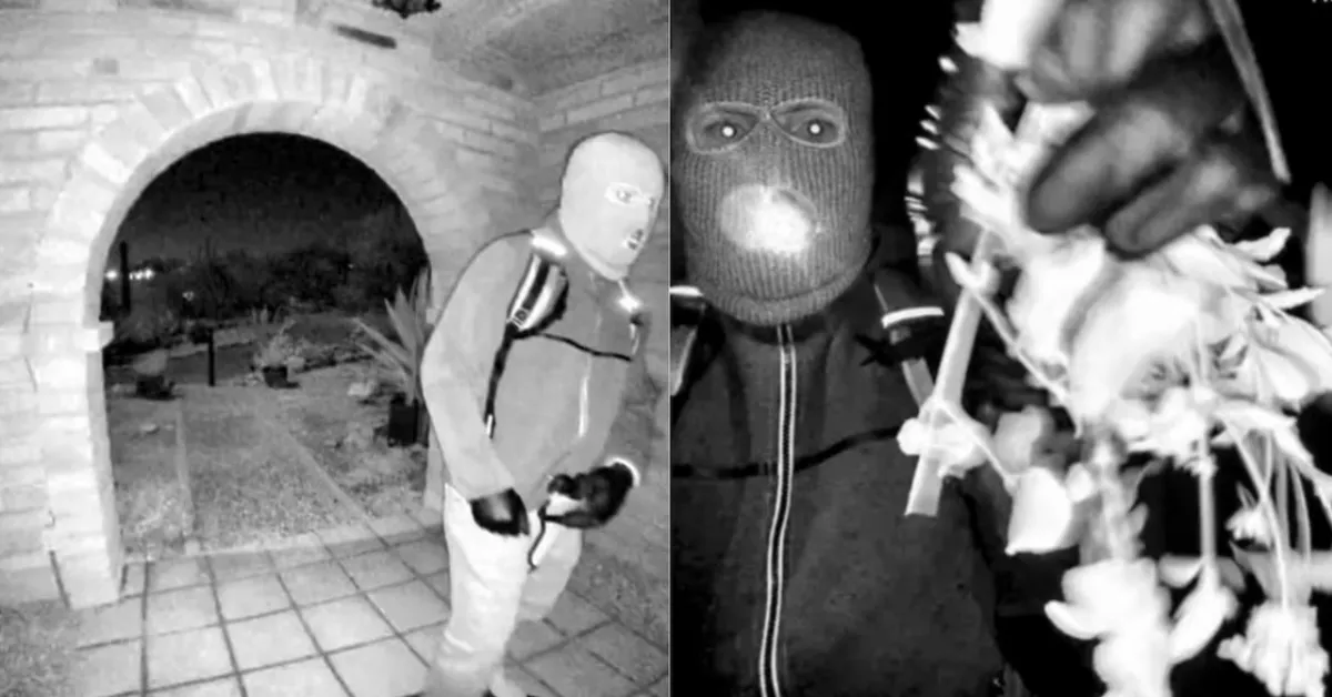 Imagem ilustrativa da notícia: VÍDEO: FBI divulga imagens do suspeito de sequestrar mãe de jornalista