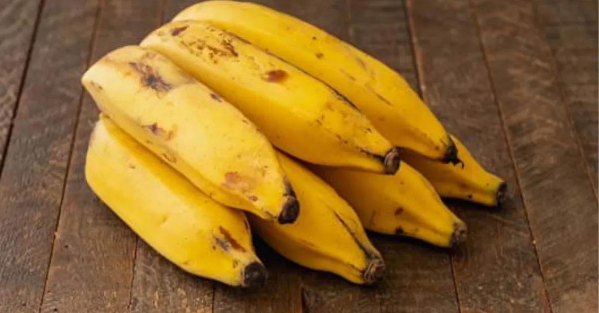 Imagem ilustrativa da notícia: Saiba como conservar banana por mais tempo sem usar geladeira