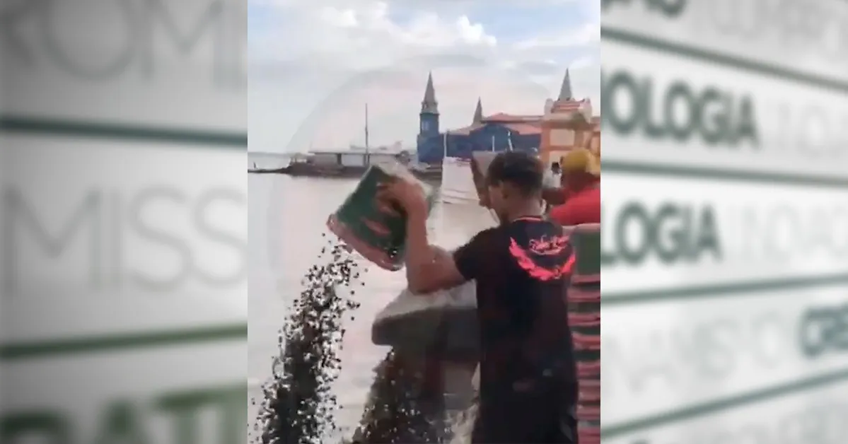 Imagem ilustrativa da notícia: Preço alto e vendas em baixa! Vendedores jogam fora açai no rio, em Belém