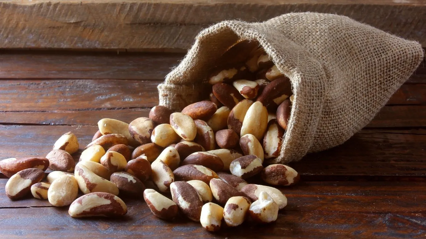 Imagem ilustrativa da notícia: Castanhas: aliadas ou vilãs do emagrecimento? Saiba como consumir