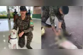 O sargento aplicou massagem cardíaca no animal até que ele voltasse a respirar.