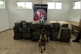 Durante a fiscalização de rotina, o cão farejador Black, do Batalhão de Ação com Cães da Polícia Militar, identificou a presença de substâncias suspeitas, o que resultou na apreensão de uma tonelada de drogas.