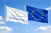 O acesso facilitado dos exportadores europeus ao Mercosul tende a ampliar a oferta nas prateleiras, mas com estratégias de proteção aos produtores brasileiros.