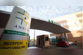 A Anvisa autorizou os testes clínicos de polilaminina, reacendendo a esperança na regeneração da medula espinhal.