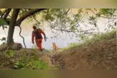 Cães farejadores atuam nas buscas por crianças desaparecidas em área de mata em Bacabal (MA).
