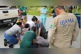 Boto-fêmea sendo atendida pelos veterinários do Ibama