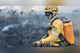 Ibama diz como será selegação de brigadistas temporários para combater incêndios