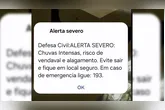 Imagem ilustrativa da notícia Defesa Civil emite alerta severo sobre chuva e vendaval