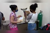 As novas estruturas integram o pacote de investimentos do município na área de bem-estar animal.
