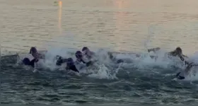 O Ironman 70.3 consiste em percursos de 1,9 km de natação em águas abertas, 90 km de ciclismo e 21,1 km de corrida.