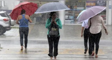 Imagem ilustrativa da notícia: Vem mais chuva? Confira o clima para esta terça, 21, em Belém