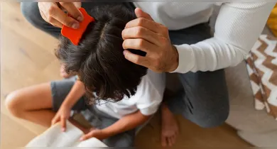 Imagem ilustrativa da notícia: Piolhos na infância: como identificar, tratar e prevenir
