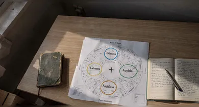 Imagem ilustrativa da notícia: Veja os signos que podem atrair oportunidades inesperadas