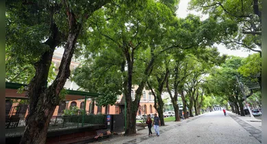 Imagem ilustrativa da notícia: Passeio cultural transforma Belém em museu a céu aberto; veja como participar