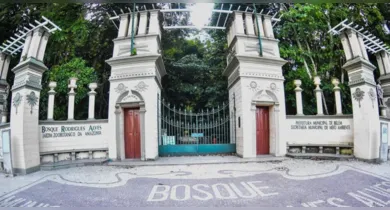 Imagem ilustrativa da notícia: Bosque e Parque Gunnar Vingren fecharão durante o Carnaval