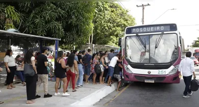 Imagem ilustrativa da notícia: Prefeitura reforça frota de ônibus para Mosqueiro durante as festas de fim de ano