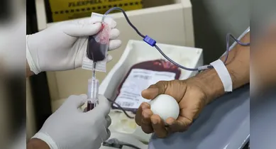 Imagem ilustrativa da notícia: Hemopa garante 701 bolsas de sangue e beneficiará mais de 2,8 mil pessoas