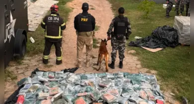 Imagem ilustrativa da notícia: Marabá: polícia apreende 1 tonelada de drogas avaliada mais de R$ 10 milhões