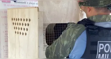 Imagem ilustrativa da notícia: Fiscalização resgata 140 animais silvestres no Pará