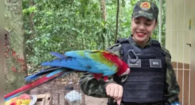 Imagem ilustrativa da notícia: Encontrou animais silvestres em áreas urbanas? Saiba como agir!