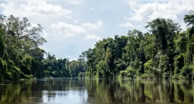 Imagem ilustrativa da notícia: Governadora Hana sanciona Dia Estadual das Unidades de Conservação