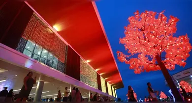 Imagem ilustrativa da notícia: Natal Encantado do Parque da Cidade mantém agenda cultural no fim de semana