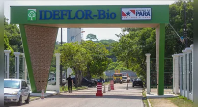 Imagem ilustrativa da notícia: IDEFLOR-Bio: inscrições para PSS iniciam nesta quarta (25)