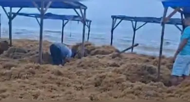 Imagem ilustrativa da notícia: Imagens impressionam: algas marinhas tomam conta de praia no Pará