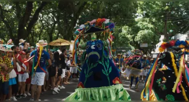 Imagem ilustrativa da notícia: Arraial do Pavulagem lança clipe "Bordado de Flor"
