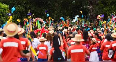 Imagem ilustrativa da notícia: Arraial do Pavulagem abre o Cordão do Galo com o “Arraial Marajoara”