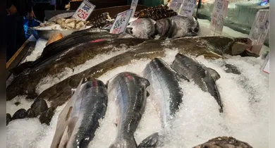 Imagem ilustrativa da notícia: Peixe encarece em todo o país e tendência é de alta até a Semana Santa