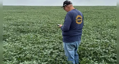 Imagem ilustrativa da notícia: Prazo para cadastro da soja 2025/2026 encerrou neste sábado