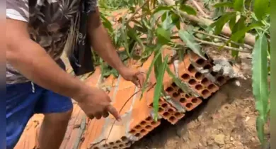 Imagem ilustrativa da notícia: Adolescente é morto por descarga elétrica em Marabá