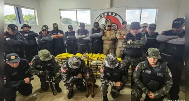 Imagem ilustrativa da notícia: Pará bate novo recorde com apreensão de 16,6 toneladas de drogas em 2025