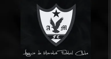 Imagem ilustrativa da notícia: Águia pede adiamento de jogo após tragédia com delegação