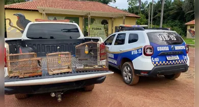 Imagem ilustrativa da notícia: Operação conjunta resgata aves silvestres criadas ilegalmente em áreas de preservação