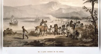 Imagem ilustrativa da notícia: 28 de janeiro: Dia Nacional de Combate ao Trabalho Escravo reforça luta por dignidade