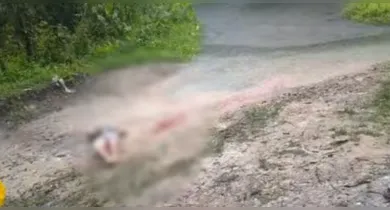 Imagem ilustrativa da notícia: Homem é encontrado morto em área de mata em Belém