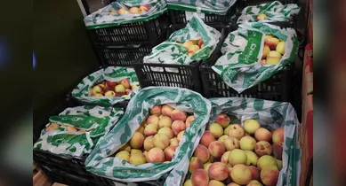 Imagem ilustrativa da notícia: Varejão de Natal da Ceasa tem diversidade de produtos para a ceia