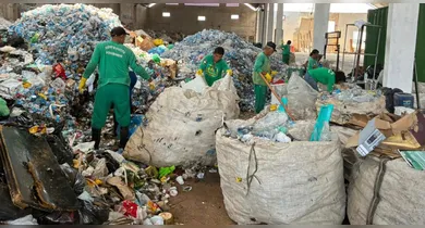 Imagem ilustrativa da notícia: Mapa interativo indica pontos de entrega de recicláveis em Belém